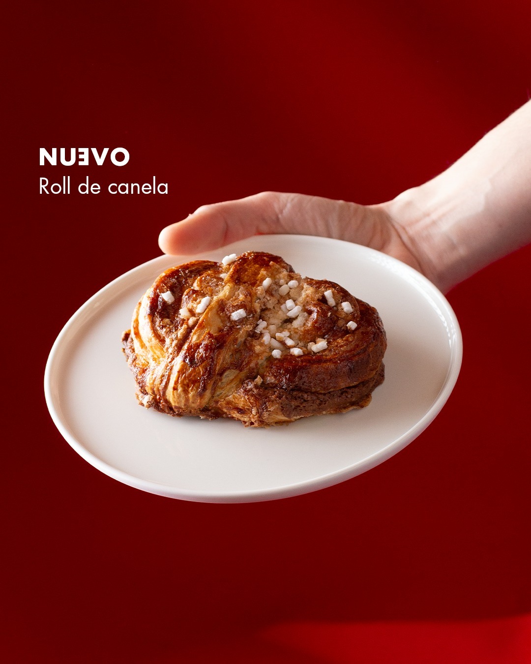 VIPS — Nuevo Roll de canela